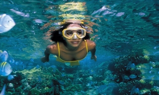 Mundo subacuatico snorkel